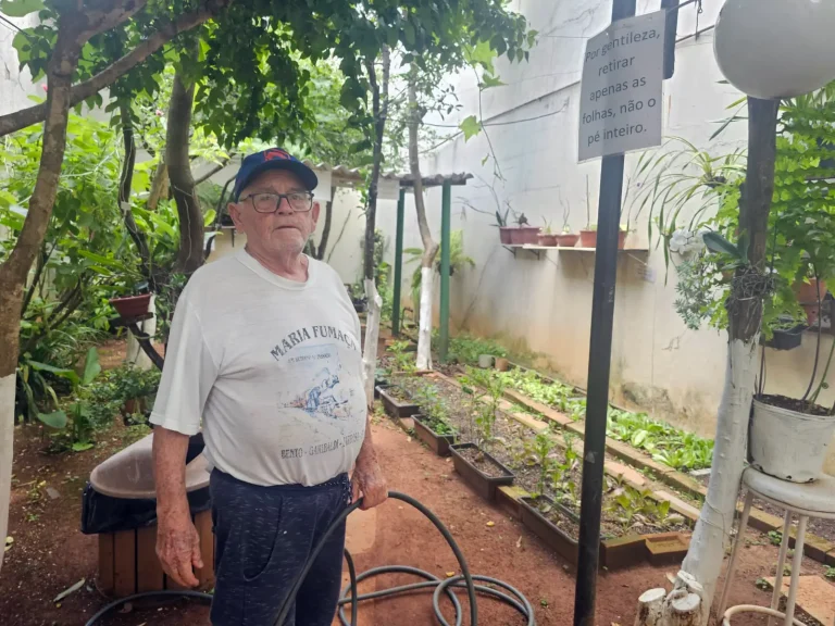 sr MIRO vida e alegria horta